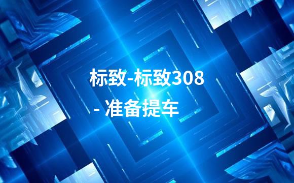 标致-标致308 - 准备提车